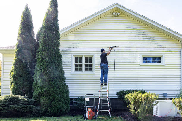 Best Gutter Cleaning  in Ilion, NY