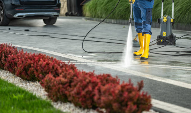 Best Soft Washing  in Ilion, NY