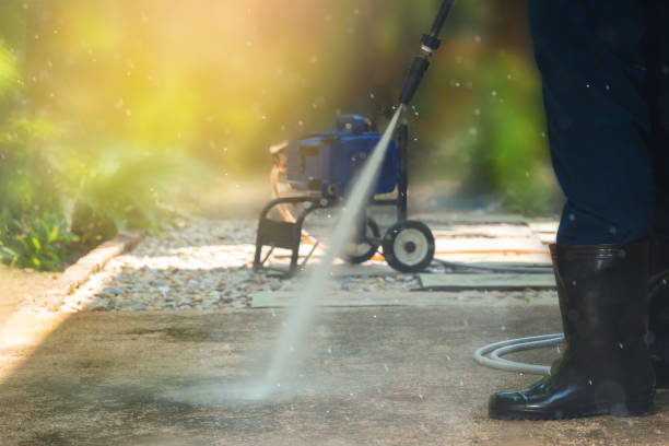 Best Fence Cleaning  in Ilion, NY